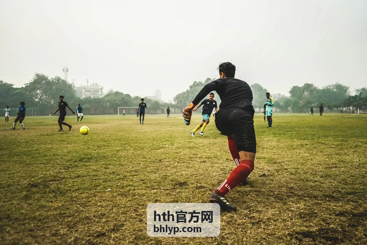 hth官方网服务入口与认证说明页面示意图